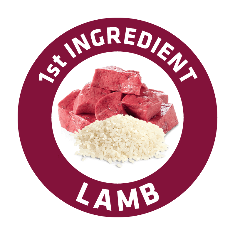 Picture of DOG ADULT SENSITIVE LAMB & RICE 3KG - ADVANCE